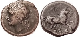 Hieron II, 275-215 BC, Æ17, Apollo head l./horse r, F-VF, centered, 2-toned brown, a nice bold coin for the grade. (A VF sold for $212, CGB 1/06.)