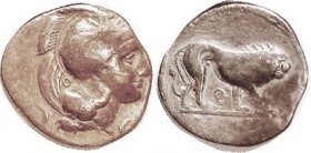VELIA, Nomos, 350-281 BC, Athena hd r, griffin on helmet, O behind/lion r, Theta below, as S460 (£175). F, obv centered rt, crowding profile, minor sc...
