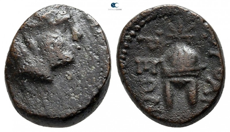 Macedon. Orthagoreia circa 350 BC. 
Bronze Æ

14 mm., 2,54 g.



nearly v...