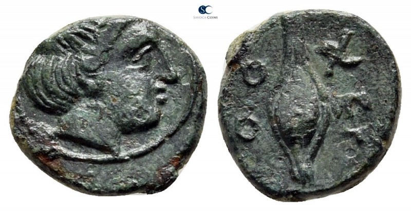 Thrace. Chersonesos circa 386-309 BC. 
Bronze Æ

10 mm., 1,12 g.



very ...