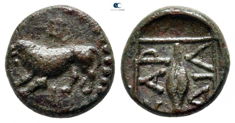 Thrace. Kardia circa 357-306 BC. 
Bronze Æ

12 mm., 1,46 g.



very fine