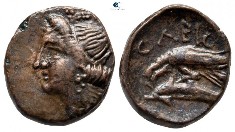 Scythia. Olbia 380-360 BC. 
Bronze Æ

17 mm., 4,37 g.



very fine