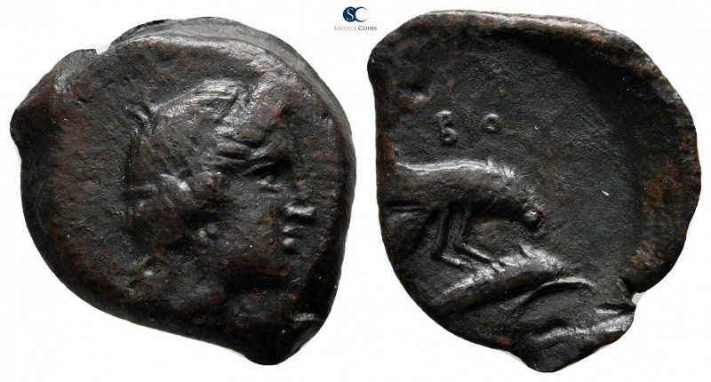 Scythia. Olbia circa 380-360 BC. 
Bronze Æ

20 mm., 3,88 g.



very fine