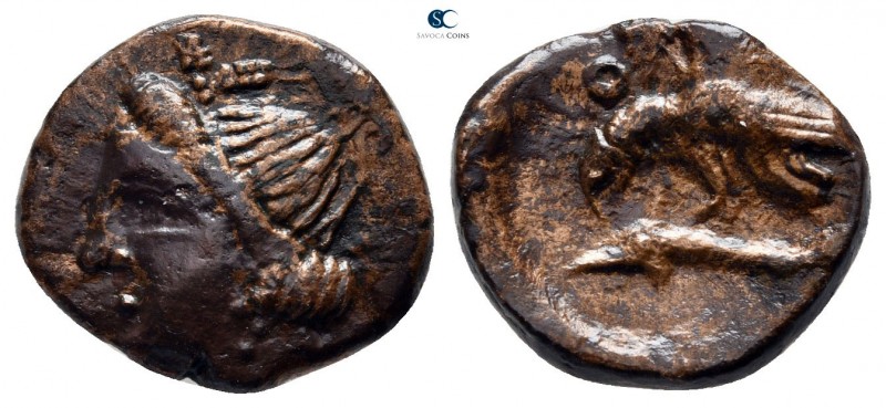 Scythia. Olbia 380-360 BC. 
Bronze Æ

17 mm., 4,07 g.



very fine