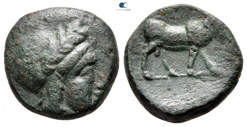 Scythia. Tyra 360-350 BC. 
Bronze Æ

18 mm., 6,85 g.



very fine