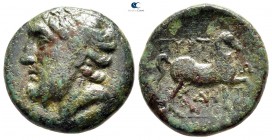 Thessaly. Gyrton 350-300 BC. Bronze Æ