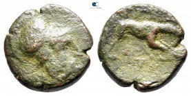 Akarnania. Argos Amphilochicon 330-300 BC. Bronze Æ