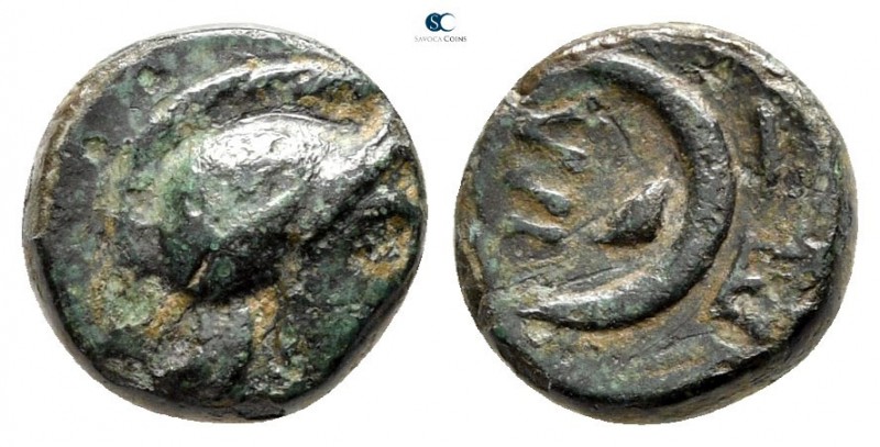 Troas. Sigeion circa 330-300 BC. 
Bronze Æ

9 mm., 1,13 g.



very fine