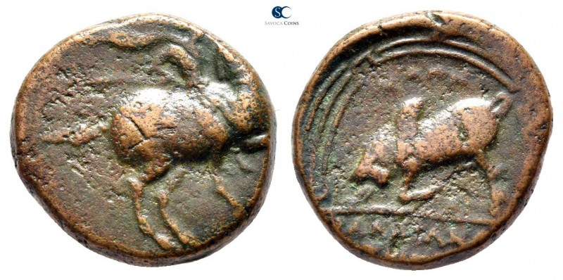 Ionia. Magnesia ad Maeander 350-300 BC. 
Bronze Æ

17 mm., 4,84 g.



nea...