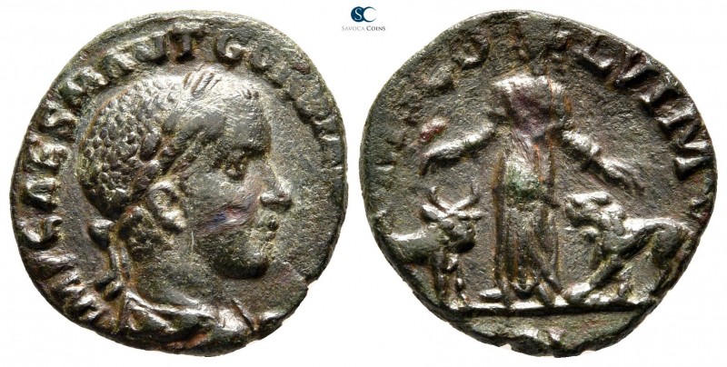 Moesia Superior. Viminacium. Gordian III AD 238-244. 
Bronze Æ

19 mm., 3,37 ...