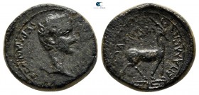 Phrygia. Apameia. Tiberius AD 14-37. Bronze Æ