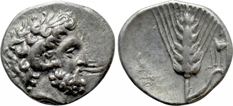 LUCANIA. Metapontion. Diobol (Circa 325-275 BC).

Obv: Laureate head of Zeus A...