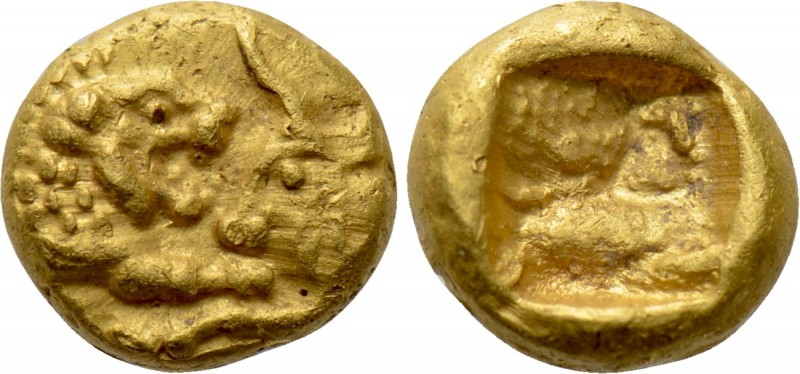 KINGS OF LYDIA. Kroisos (Circa 564/53-550/39 BC). GOLD 1/24 Stater. Sardes.

O...