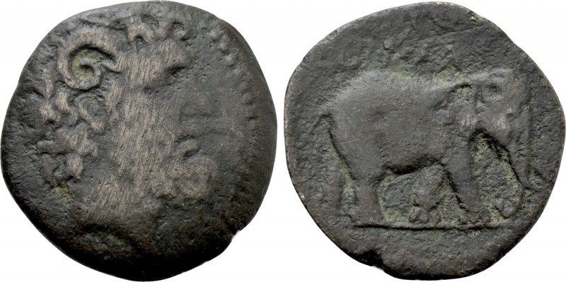 KINGS OF NUMIDIA. Juba I (Circa 60-46 BC). Ae. 

Obv: Head of Zeus Ammon right...