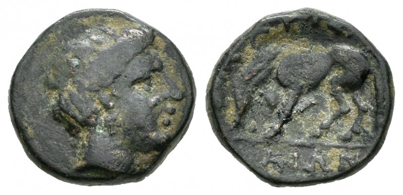 Thessaly. Larissa Phrikonis. AE 14. 352-344 a.C. (Gc-2129). Anv.: Cabeza de la n...