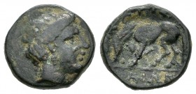 Thessaly. Larissa Phrikonis. AE 14. 352-344 a.C. (Gc-2129). Anv.: Cabeza de la ninfa Larissa a la derecha. Rev.: Caballo pastando a la izquierda. Ae. ...