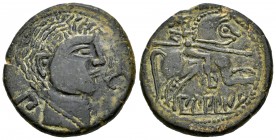 Bilbilis. As. 120-30 a.C. Calatayud (Zaragoza). (Abh-258 variante). (Acip-1573). Anv.: Cabeza masculina a derecha con singular peinado, delante delfín...