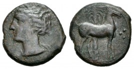 Carthage Nova. 1/2 calco. 220-215 a.C. Cartagena (Murcia). (Abh-507 variante). (Acip-604 variante). Ae. 3,21 g. Variante con 3 puntos delante del caba...