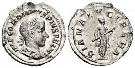 Gordian III. Denario. 240 d.C. Rome. (Ric-127). (Rs-69). Anv.: MP GORDIANVS PIVS FEL AVG. Büsto laureado, drapeado y acorazado del emperador a derecha...