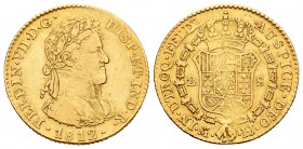 Ferdinand VII (1808-1833). 2 escudos. 1812. Madrid. IJ. (Cal 2008-204). Au. 6,71 g. Primer busto. Rayitas. Muy rara. Almost VF/VF. Est...500,00.