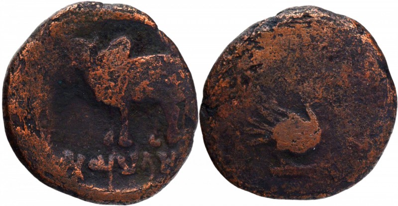 Ancient India
Anonymous
Copper Unit 
Ayodhya Region (200 BC), Copper Unit, Ob...