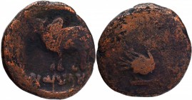 Copper Coin of Ayodhya Region.