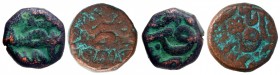 Copper Half Dam  and Dam Coins of Akbar of Narnol Mint.