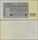 Deutschland - Deutsches Reich bis 1945: 5 Billionen Mark 1. November 1923, Ro.127a, Reichsdruck mit 8-stelliger KN, nahezu kassenfrisch mit minimal be...