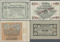 Deutschland - Notgeld - Württemberg: Sammlung in 2 Einsteckalben mit über 600 Scheinen, alphabetisch sortiert und beginnend mit Kleingeld, KGF-Lagerge...