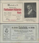 Deutschland - Notgeld - Württemberg: Marbach, Marbacher Bank, 500 Tsd. Mark (2, Datum gestempelt und gedruckt), 9.8.1923, 1, 5, 10, 20 Mio. Mark, 23.8...