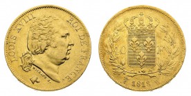 francia 
Luigi XVIII (1815-1824) - 40 Franchi 1818 - Zecca: Lille - Diritto: testa del Re a destra - Rovescio: stemma coronato entro due rami di allo...