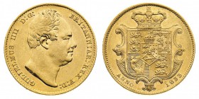 Guglielmo IV (1830-1837) William IV (1830-1837)
Sovereign 1833 - Zecca: Londra - Rara - Di qualità molto buona (Seaby n. 3829B) (Friedb. n. 383)