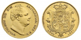 Guglielmo IV (1830-1837) William IV (1830-1837)
Sovereign 1837 - Zecca: Londra - Rara - Di buona qualitù (Seaby n. 3829B) (Friedb. n. 383)