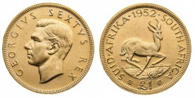 sudafrica 
George VI (1937-1952) - Pound 1952 - Zecca: Pretoria