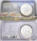 Rumänien: 100 Lei 1995, 50 Jahre F.A.O. KM# 118. 27,5 g, 925/1000 Silber. Auflage 30.000, in Coincard (Private Ausführung), stempelglanz.
 [differenz...