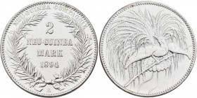 Deutsch-Neuguinea: 2 Neu-Guinea Mark 1894 A, Paradiesvogel, Jaeger 706, raue Oberfläche, entfernter Henkel, Kratzer, gereinigt sehr schön.
 [differen...