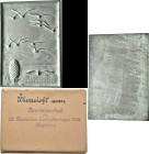 Medaillen Deutschland: Augsburg: Einseitige Bronzegußplakette 1931, auf das Deutsche Fliegertreffen, überreicht vom Sportausschuß des 25. Deutschen Lu...