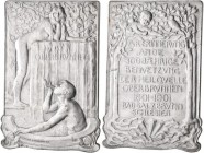 Medaillen Deutschland: Schlesien, Bad Salzbrunn: Versilberte Bronzeplakette 1901, von Kraumann, geprägt bei Mayer & Wilhelm, Stuttgart. Auf die 300jäh...