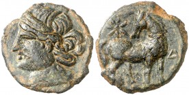 (s. III-II a.C.). Zeugitana. Cartago. AE 21. (S. 6513 var). 5,96 g. Ex ANE 19/12/1989, nº 70. MBC+.