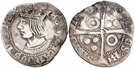 Ferran II (1479-1516). Perpinyà. Croat. (Cru.V.S. 1153 var) (Badia falta) (Cru.C.G. 3073 var). 2,81 g. Falta anillo detrás del busto. Concreciones. Mu...