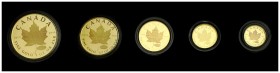 1999. Canadá. Isabel II. 1, 5, 10, 20 y 50 dólares. 59,25 g. AU. Hoja de arce. En estuche oficial con certificado. Proof.