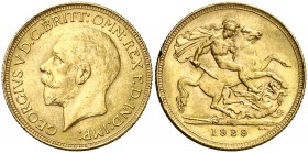 1929. Sudáfrica. Jorge V. 1 libra. (Fr. 5) (Kr. A22). 7,99 g. AU. Golpecitos. EBC-.