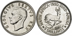 1950. Sudáfrica. Jorge VI. 5 chelines. (Kr. 40.1). 28,22 g. EBC+.