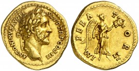(143 d.C.). Antonino pío. Áureo. (Spink 4006) (Co. 429) (RIC. 109a) (Calicó 1548). 7,11 g. Escasa así. EBC-.