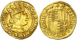 Ferran I de Nàpols (1458-1494). Nàpols. Ducat. (Cru.V.S. 997) (Cru.C.G. 3404) (MIR. 64/6). 3,47 g. Atractiva. Ex Áureo 19/12/1995, nº 274. Escasa. EBC...
