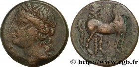 ZEUGITANA - CARTHAGE
Type : Triple shekel 
Date : c. 220-215 AC. 
Mint name / Town : Carthage, Zeugitane 
Metal : copper 
Diameter : 30,5  mm
Orientat...