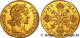 LOUIS XIII
Type : Louis d'or à la mèche courte, 1er type 
Date : 1640 
Mint name / Town : Paris, Monnaie du Louvre 
Quantity minted : 563260 
Metal : ...