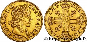 LOUIS XIII
Type : Demi-louis d'or à la mèche longue 
Date : 1642 
Mint name / Town : Paris 
Quantity minted : 181295 
Metal : gold 
Millesimal finenes...