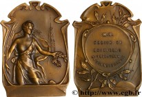 POLICE AND GENDARMERIE
Type : Plaquette de reconnaissance 
Date : n.d. 
Mint name / Town : Belgique, Bruxelles 
Metal : bronze 
Diameter : 61  mm
Engr...