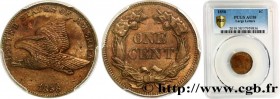 UNITED STATES OF AMERICA
Type : 1 Cent “Flying Eagle” variété à grandes lettres 
Date : 1858 
Mint name / Town : Philadelphie 
Quantity minted : 24600...